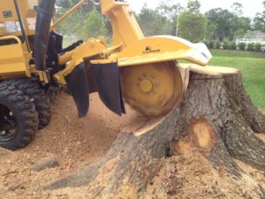 Stump Grinding Services Hickory NC